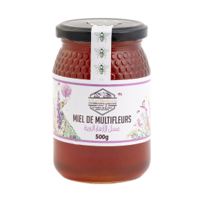 Miel d'Eucalyptus  1 kg 