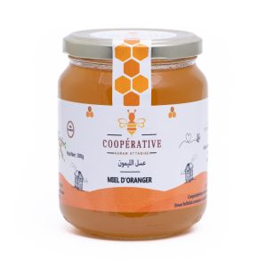 Orange Honey 500g