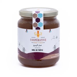 Clover Honey 500g