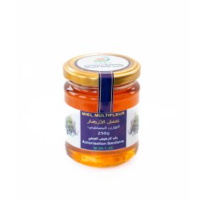 Miel Multi fleurs 250g
