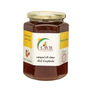 Miel d'euphorbe -1kg