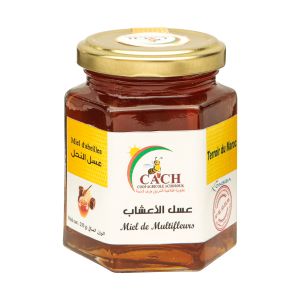 Miel multifleurs -250g