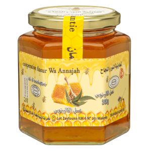 Miel d'eucalyptus - 500 g